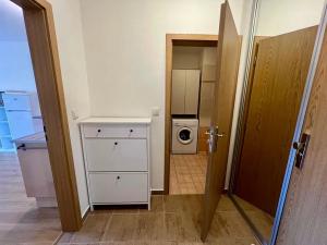 Pronájem bytu 1+kk, Praha - Černý Most, Rudolfa Holeky, 36 m2