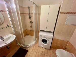 Pronájem bytu 1+kk, Praha - Černý Most, Rudolfa Holeky, 36 m2