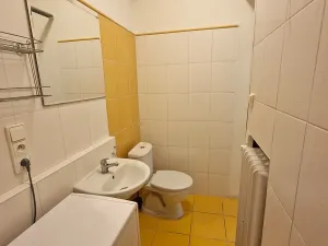 Prodej bytu 1+kk, Brno, Cihlářská, 32 m2
