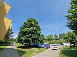 Prodej bytu 1+kk, Brno, Okrouhlá, 28 m2