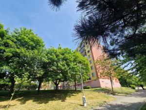 Prodej bytu 1+kk, Brno, Okrouhlá, 28 m2