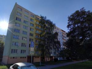 Pronájem bytu 2+1, České Budějovice - České Budějovice 3, Plzeňská, 49 m2