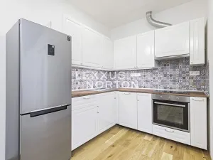 Pronájem bytu 1+kk, Praha - Smíchov, Holečkova, 55 m2