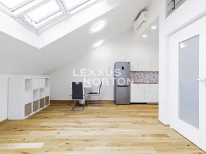 Pronájem bytu 1+kk, Praha - Smíchov, Holečkova, 55 m2