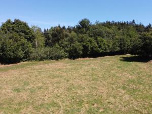 Prodej pole, Strašín, 36470 m2