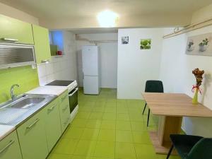 Pronájem bytu 1+1, Brno, Kociánka, 50 m2