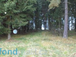 Prodej pole, Horní Planá - Hůrka, 22308 m2