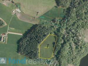 Prodej pole, Horní Planá - Hůrka, 22308 m2