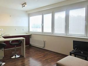 Pronájem bytu 1+kk, Brno, Vídeňská, 28 m2