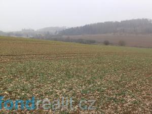 Prodej pole, Zvěstov, 51077 m2