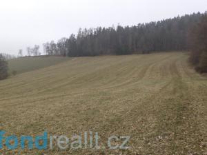 Prodej pole, Zvěstov, 51077 m2