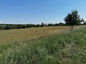 Prodej chalupy, Hora Svatého Šebestiána, 150 m2