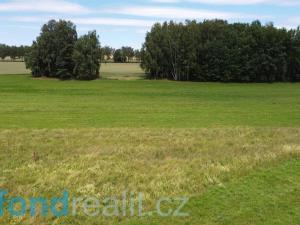 Prodej pozemku, Sobíňov, 11195 m2