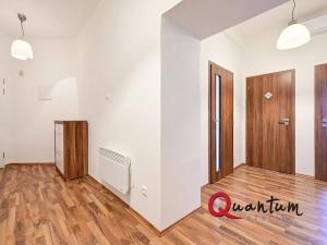 Prodej bytu 2+kk, Praha - Nusle, Na Veselí, 58 m2