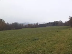 Dražba pole, Zdíkov, 10224 m2