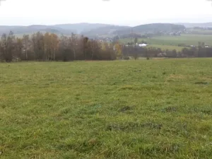 Dražba pole, Zdíkov, 10224 m2