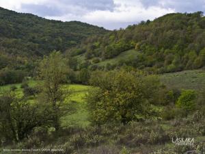 Prodej pozemku, Kefalonia, Argostoli, Eleios-Pronnoi, Řecko, 4000 m2