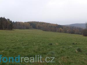 Prodej pole, Zdíkov - Branišov, 10244 m2