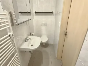 Prodej bytu 2+kk, Brno, Černého, 46 m2