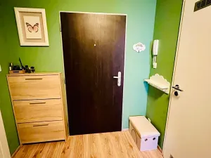 Pronájem bytu 2+kk, Praha - Žižkov, V zahrádkách, 52 m2