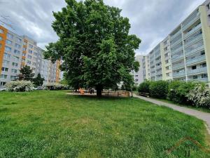 Pronájem bytu 1+kk, Praha - Řepy, Makovského, 36 m2