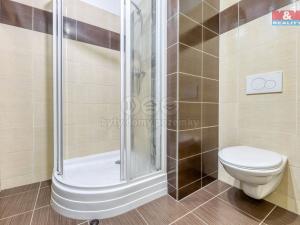 Pronájem bytu 2+kk, Plzeň - Jižní Předměstí, U Borských kasáren, 53 m2