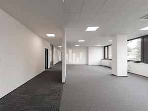Pronájem kanceláře, Ostrava, Slavíkova, 1000 m2