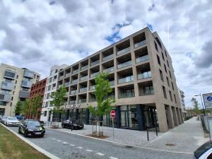 Pronájem bytu 3+kk, Praha - Žižkov, Tetauerova, 92 m2