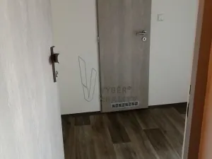 Pronájem bytu 1+kk, Bílina, Teplická, 21 m2