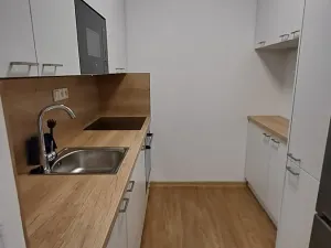 Prodej bytu 1+kk, Praha - Žižkov, V zahrádkách, 33 m2