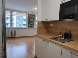 Prodej bytu 1+kk, Praha - Žižkov, V zahrádkách, 33 m2