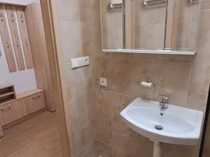 Prodej bytu 1+kk, Praha - Žižkov, V zahrádkách, 33 m2