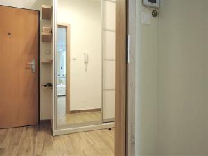 Pronájem bytu 1+kk, Brno, Hrázka, 39 m2