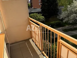 Pronájem bytu 2+1, Děčín, Školní, 51 m2