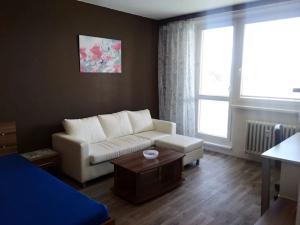 Pronájem bytu 1+1, Uherský Brod, 40 m2