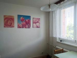 Pronájem bytu 1+1, Uherský Brod, 40 m2