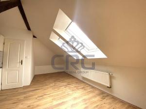Pronájem bytu 1+kk, Brno - Černovice, Řehořova, 30 m2