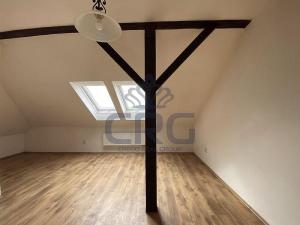 Pronájem bytu 1+kk, Brno - Černovice, Řehořova, 30 m2