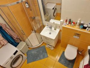 Pronájem bytu 2+1, České Budějovice, Puklicova, 57 m2