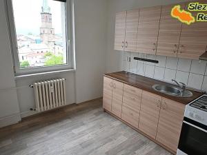 Pronájem bytu 2+1, Frýdek-Místek, Revoluční, 52 m2