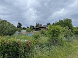 Pronájem zahrady, Praha - Strašnice, Dolínecká, 400 m2