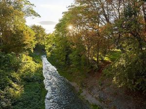Prodej bytu 2+kk, Praha - Nusle, Bělehradská, 93 m2