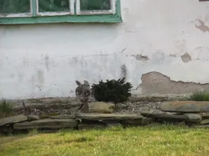 Dražba rodinného domu, Vlčí Habřina, 10 m2