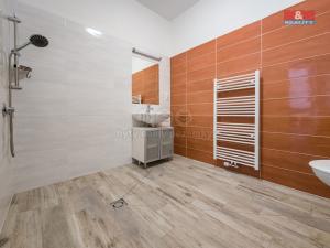 Pronájem bytu 1+1, Studeněves, 41 m2