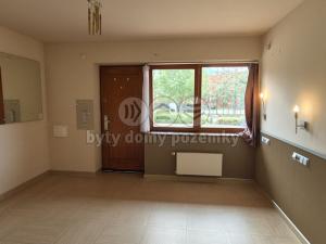 Pronájem bytu 1+kk, Králův Dvůr - Počaply, Pod Dálnicí, 27 m2