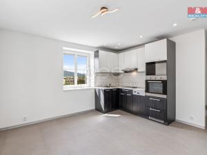 Pronájem bytu 2+kk, Ústí nad Labem - Klíše, Konečná, 42 m2