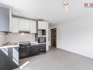 Pronájem bytu 2+kk, Ústí nad Labem - Klíše, Konečná, 42 m2