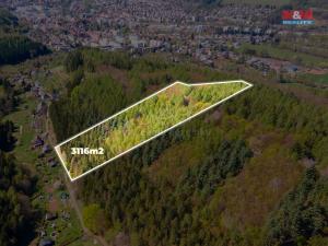 Prodej lesa, Trutnov, 3116 m2