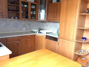 Pronájem bytu 4+1, Brno, Vinařská, 125 m2