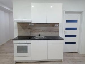 Pronájem bytu 3+kk, Most, Slovenského národního povstání, 51 m2